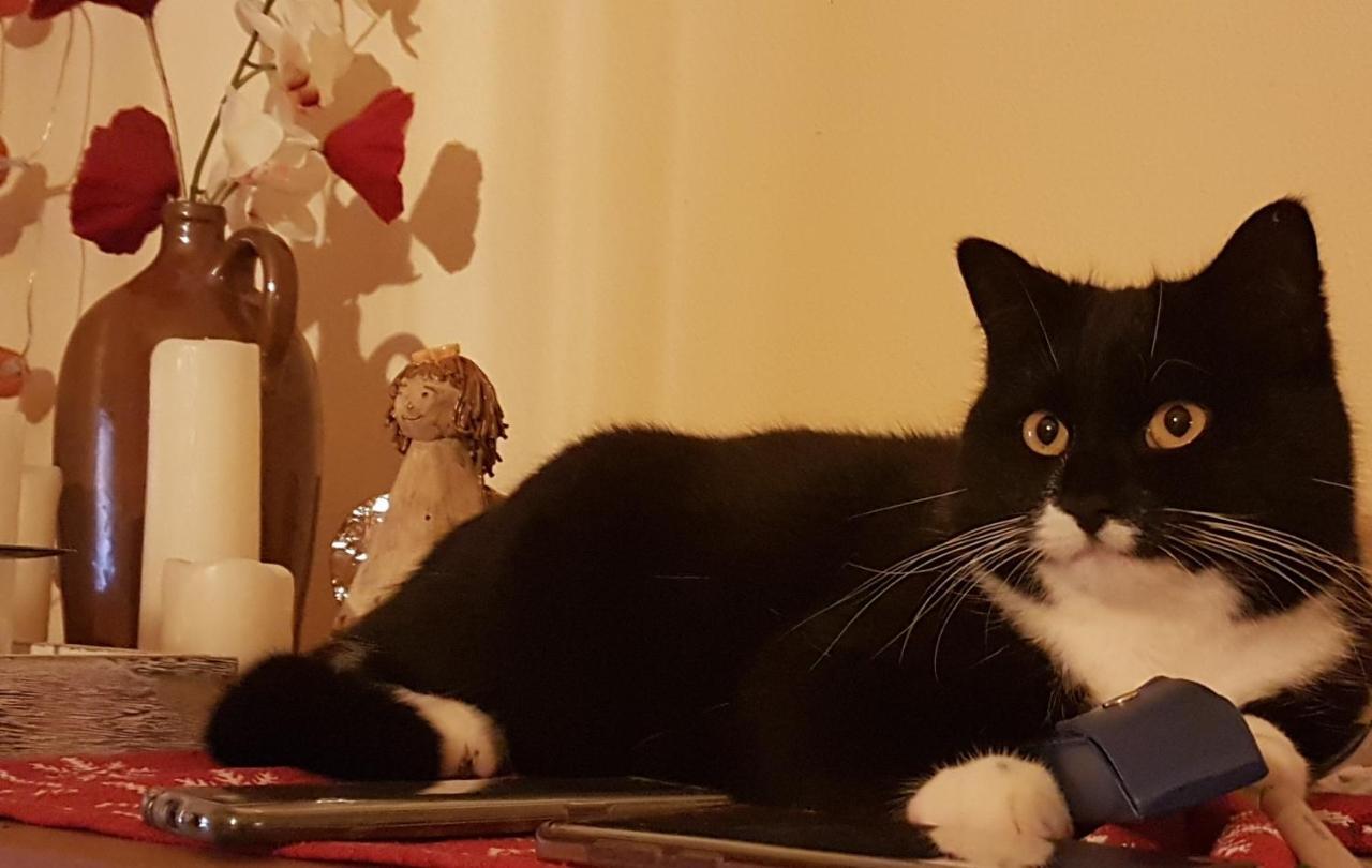 Ferienwohnungen Hering Kleingiesshubel Bagian luar foto