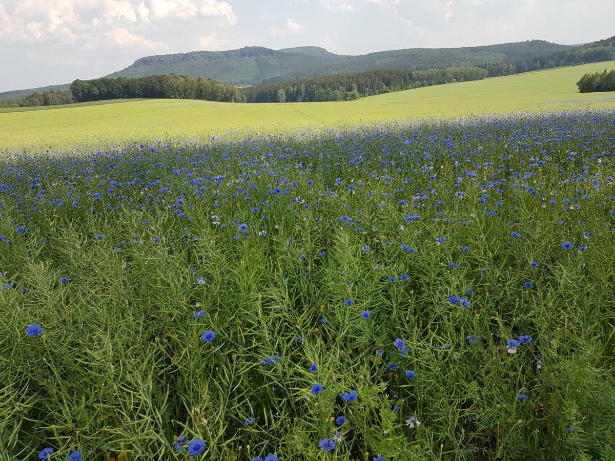 Ferienwohnungen Hering Kleingiesshubel Bagian luar foto